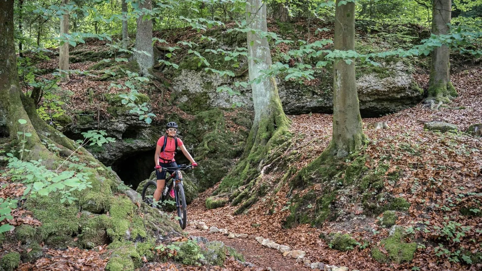 3-Zi App Garni I Fraenkische Schweiz, Miselgau-Obernsees Mistelgau 別荘